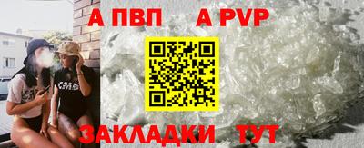 стаф Шелехов