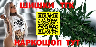стаф Шелехов