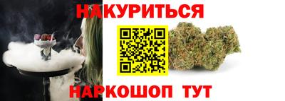 стаф Шелехов
