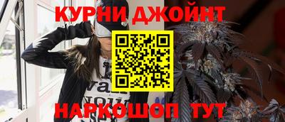 стаф Шелехов