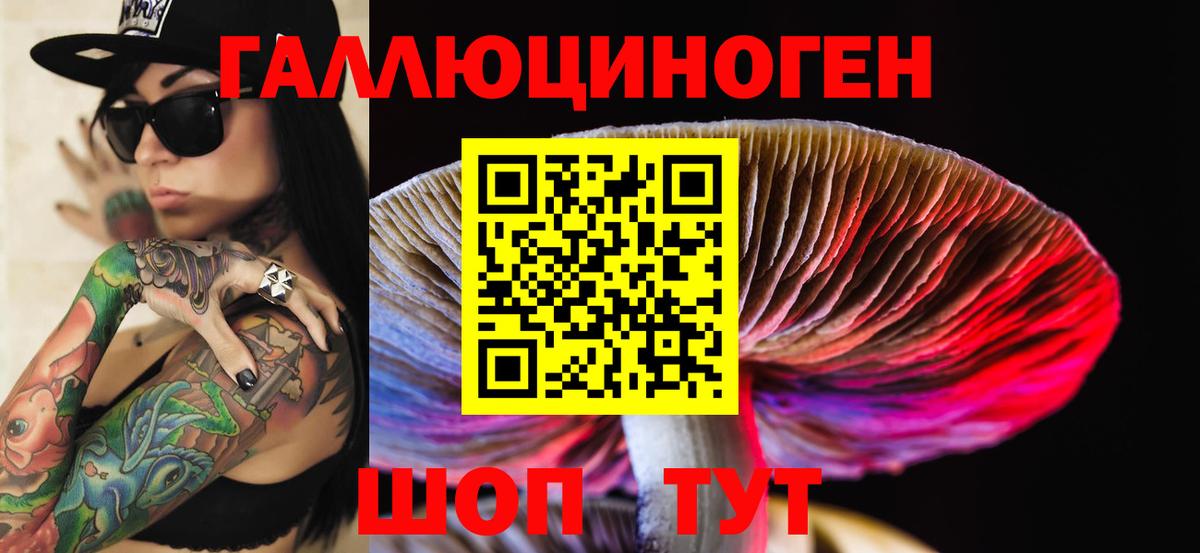 Псилоцибиновые грибы мицелий  Галлюциногенные грибы Psilocybine cubensis  Вход с VPN  Ахтубинск 