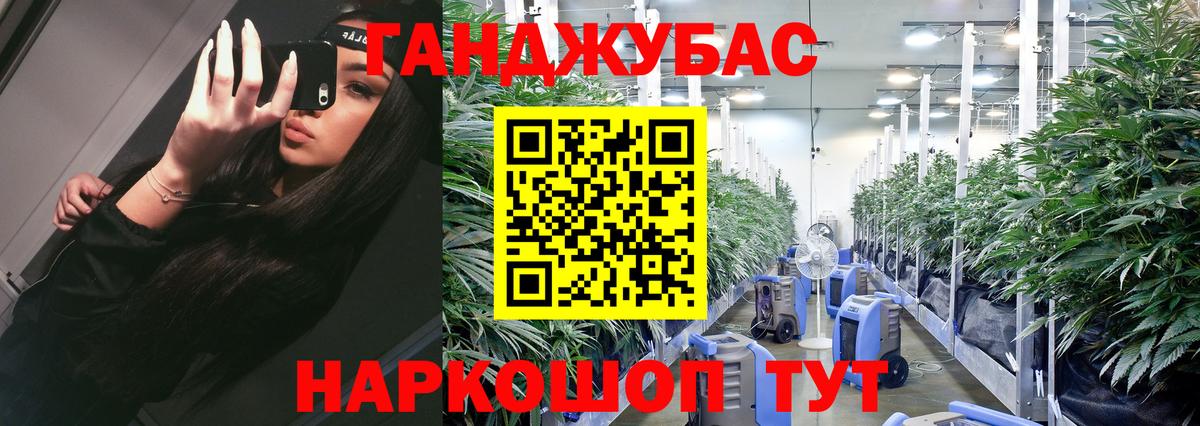 Шишки марихуана SATIVA & INDICA Ахтубинск